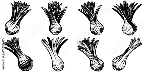 line art vector illustration collection of leek with wood cutting style. isolate on a white background. SVG and PNG
