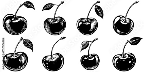 line art vector illustration collection of cherry with wood cutting style. isolate on a white background. SVG and PNG
