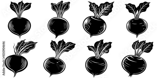 line art vector illustration collection of beetroot with wood cutting style. isolate on a white background. SVG and PNG
