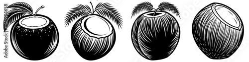 line art vector illustration collection of coconut with wood cutting style. isolate on a white background. SVG and PNG
