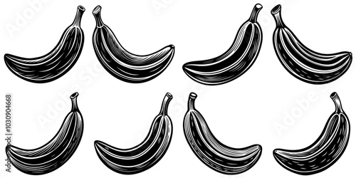 line art vector illustration collection of banana with wood cutting style. isolate on a white background. SVG and PNG
