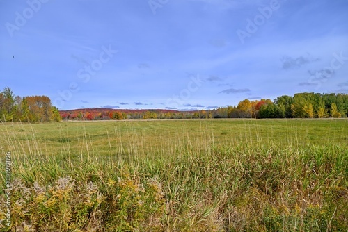 Landscape in Autumn