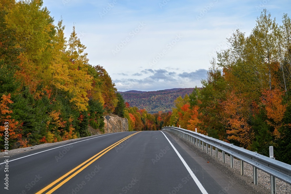 road in autumn road in autumn