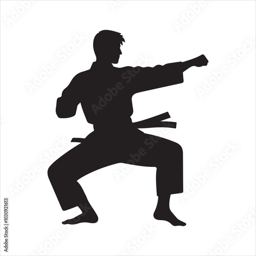 Karate silhouette on white background 