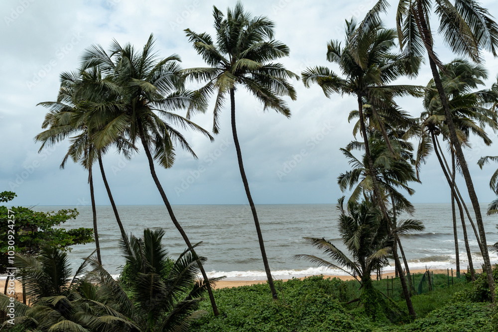 Obraz premium Palm trees against blue sky in Goa, India