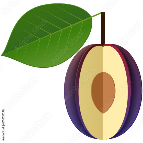 Plum fruit vector illustration. Ripe prune flat icon. Sweet organic slice with seed and green leaf isolated on white background