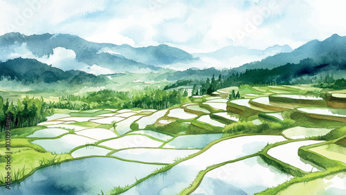 Rice Paddies in Watercolor Background Illustration Featuring Lush Green Terraced Fields Scenic Agricultural Landscape Vibrant Colors Tranquil Nature and Farming Beauty