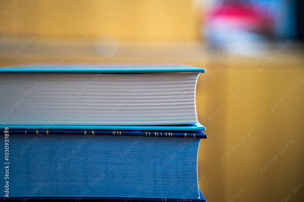 A close-up of two books stacked on top of each other, with a blurred background. The top book has a blue cover and the bottom book has a blue and gold cover.
