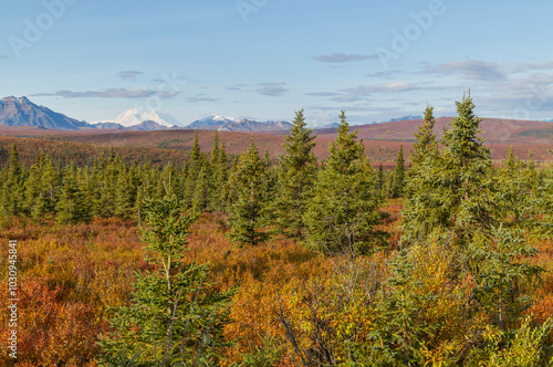 Scenic Autumn Landscape in Denali National Park Alaska