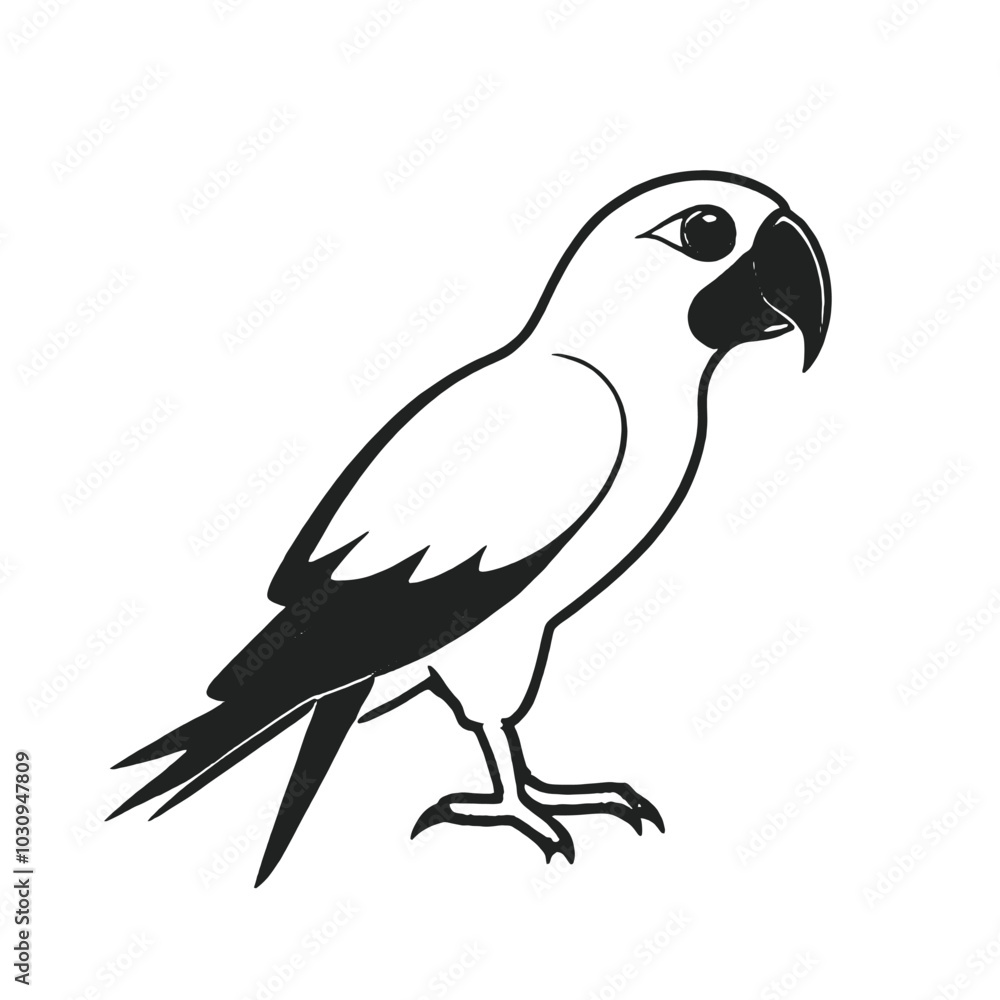 Fototapeta premium A black and white illustration of a parrot 