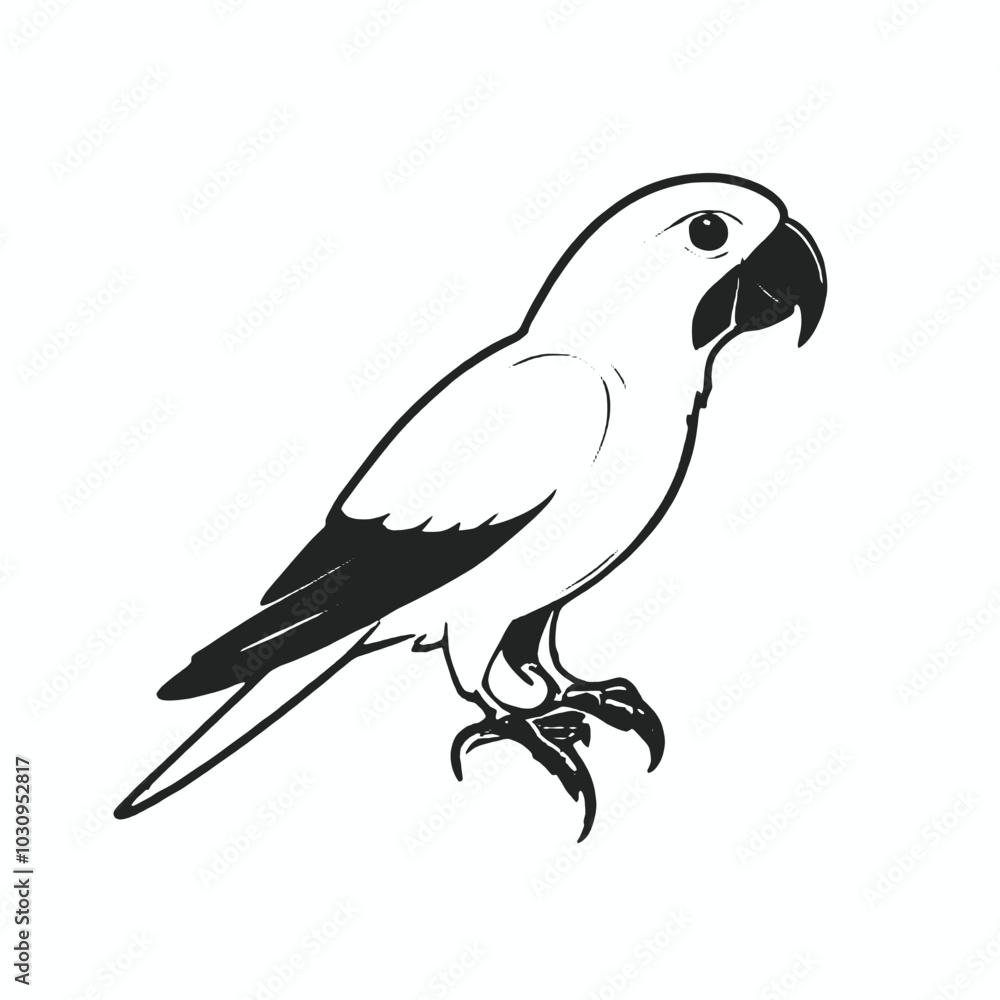 Fototapeta premium A black and white illustration of a parrot 