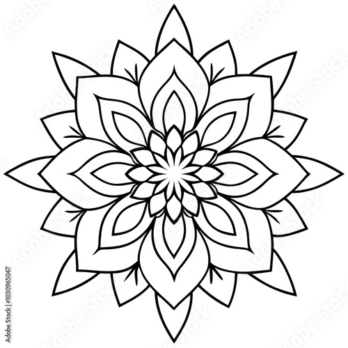 Black and white lotus flower