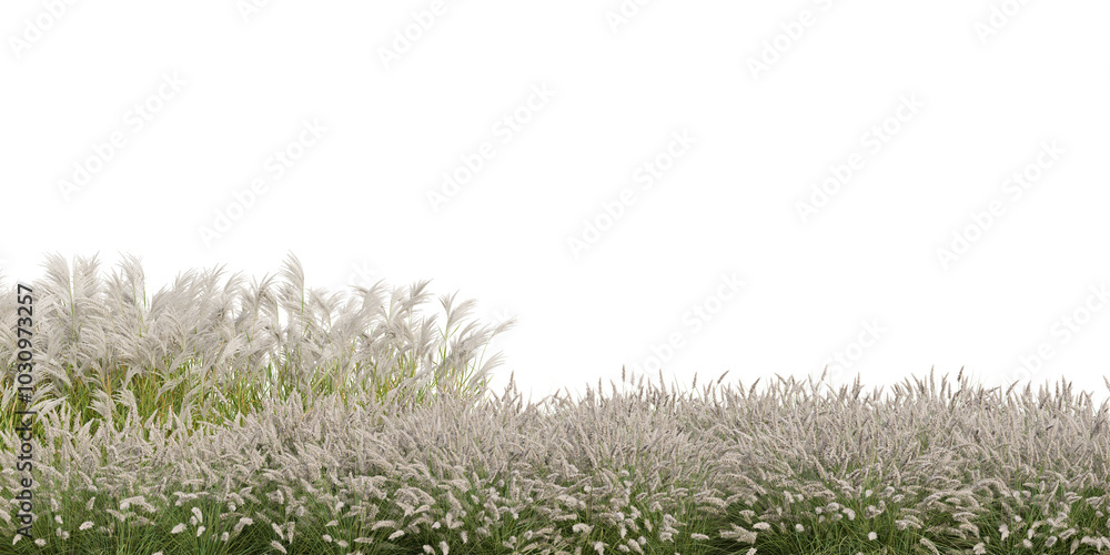 Fototapeta premium 3D Rendering Grass and Plants PNG on Transparent Background 