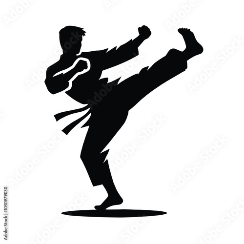 Martial Arts Kick
