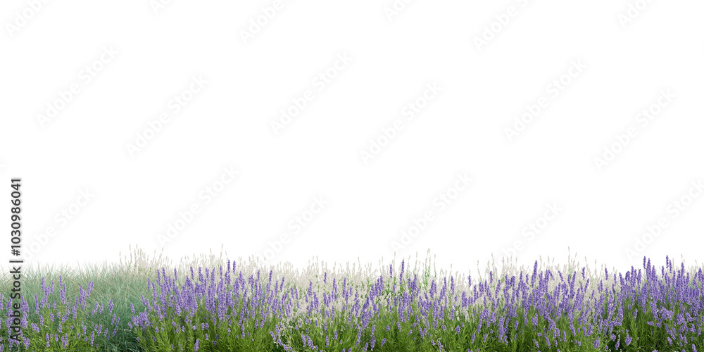 Obraz premium 3D Rendering Grass and Plants PNG on Transparent Background