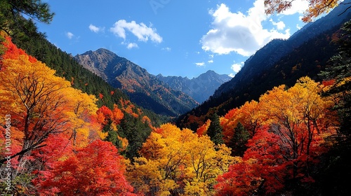  A mountainous forest abundant with numerous orange-yellow leafed trees