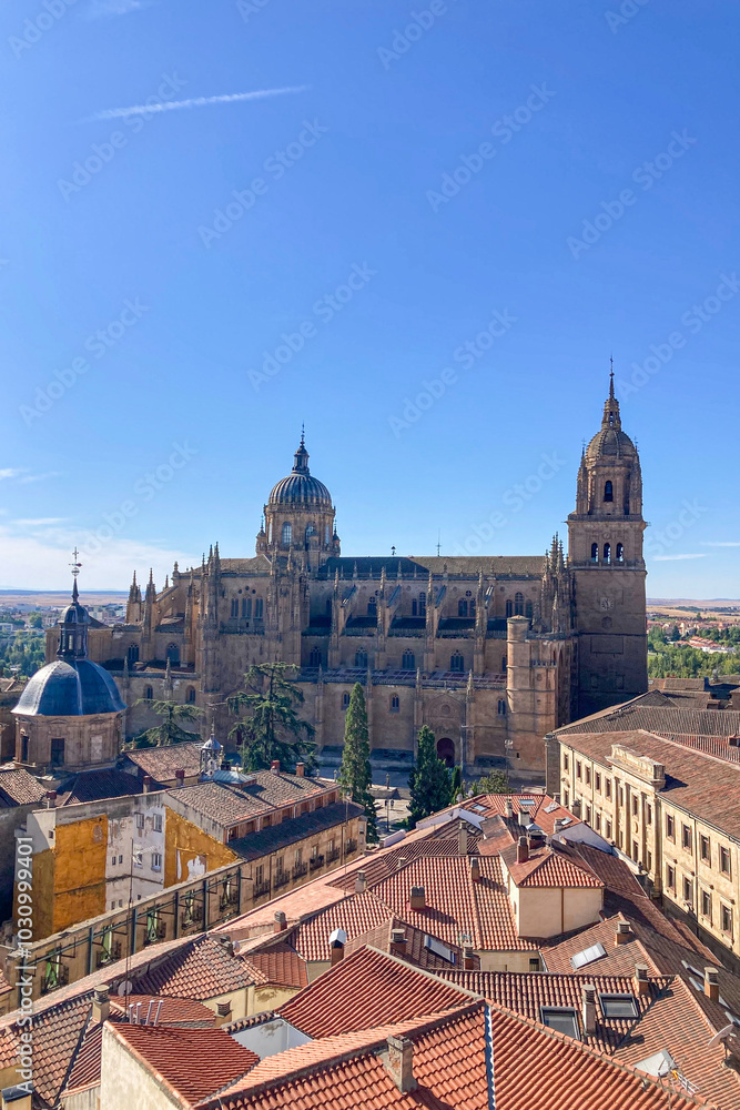 Naklejka premium Salamanca Cathedral in Salamanca, Spain
