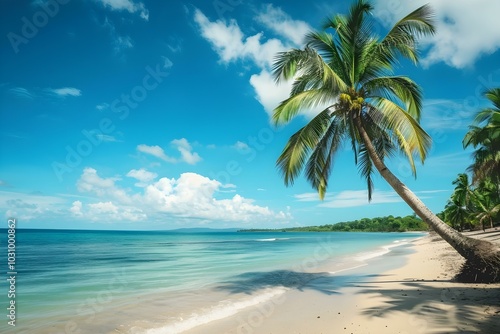 Palm tree leaning over tropical sandy beach with calm ocean waves and clear blue sky. Seaside landscape. Summer vacation and travel concept. Design for wallpaper, poster, and banner