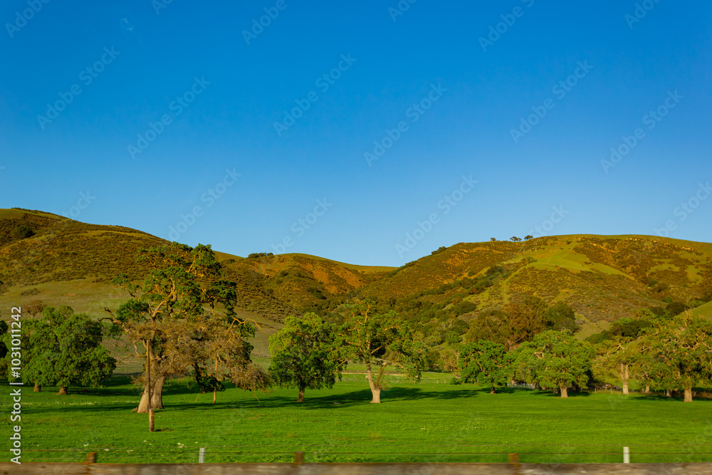 Fototapeta premium Sunny view of the rural landscape around Los Banos