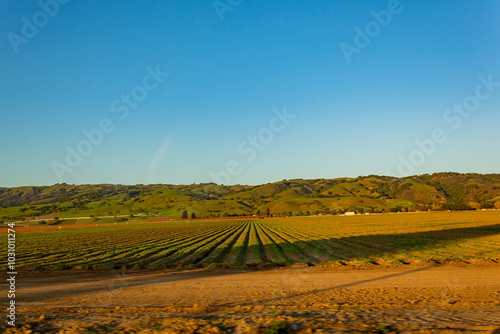 Sunny view of the rural landscape around Los Banos photo