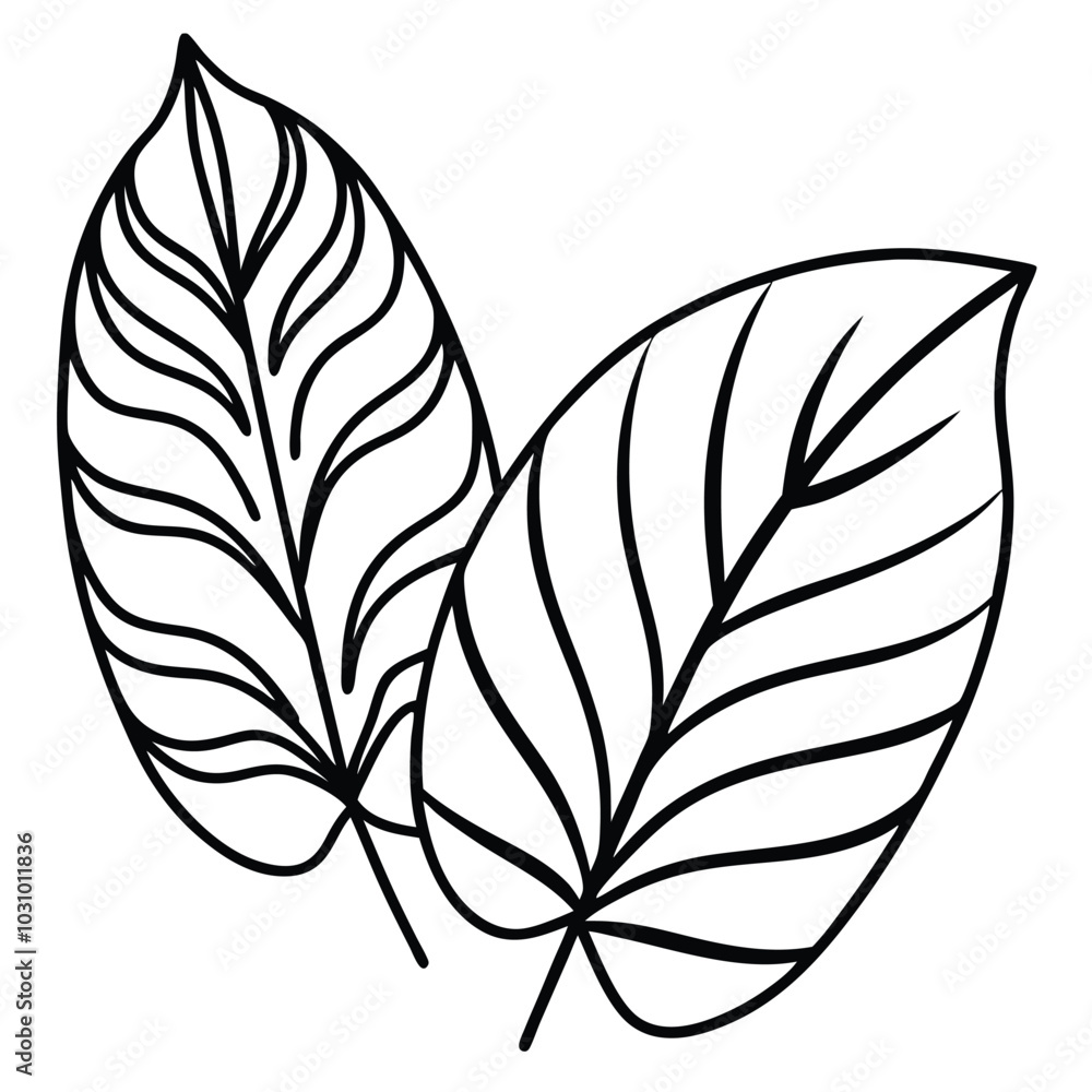 Tropical Leaves Vector Set for Nature Branding Design Tropical Leaves Vector Set for Nature Branding Design