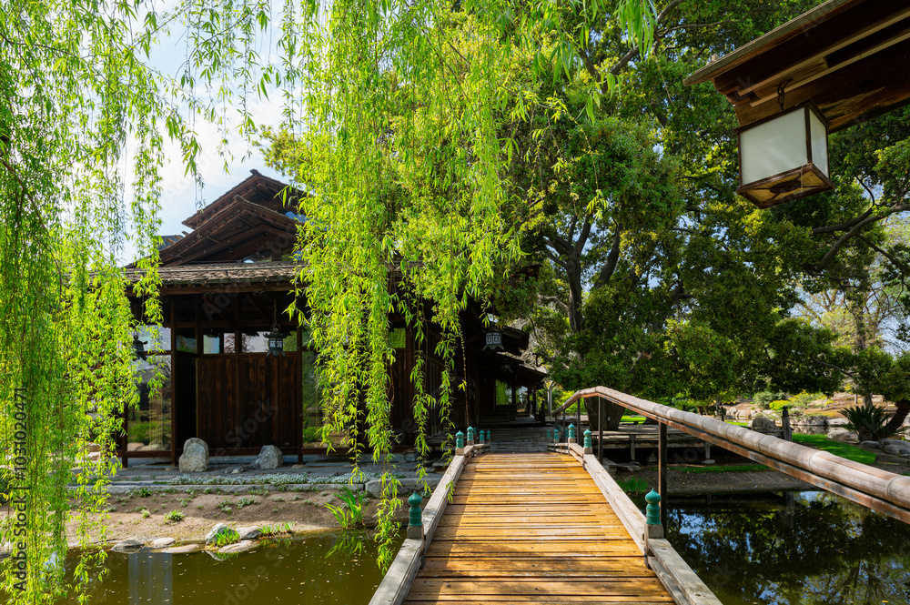 Sunny view of a Japanese garden Sunny view of a Japanese garden