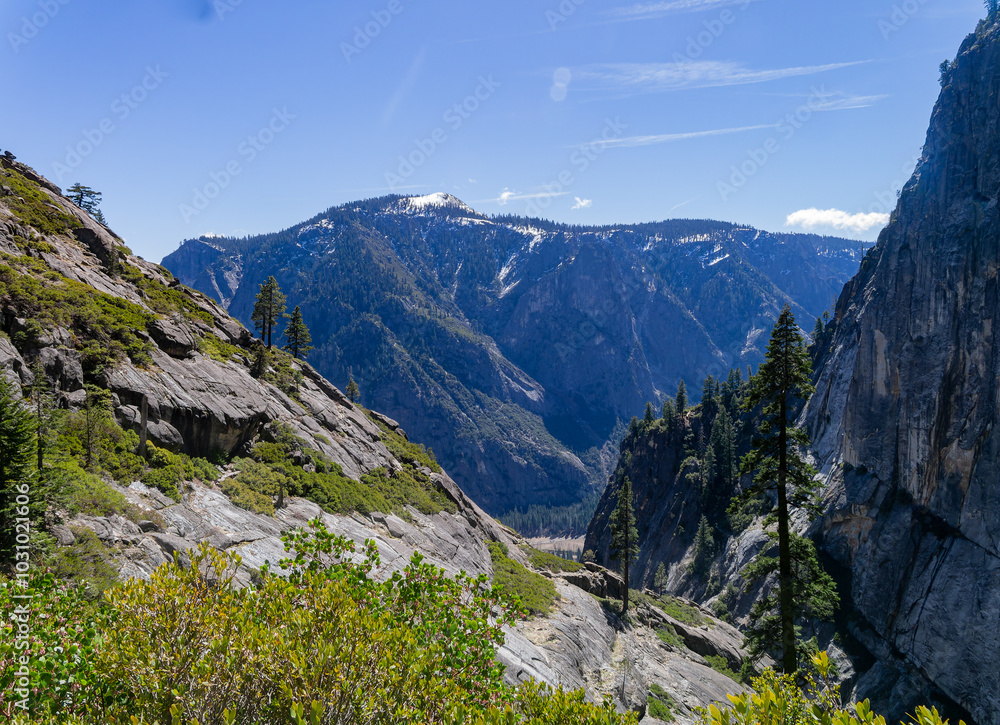 Sunny view of the landscape at Yosemite National Park Sunny view of the landscape at Yosemite National Park