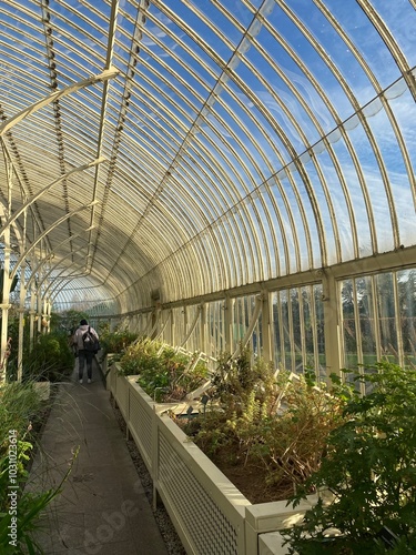 Botanic garden greenhouse 