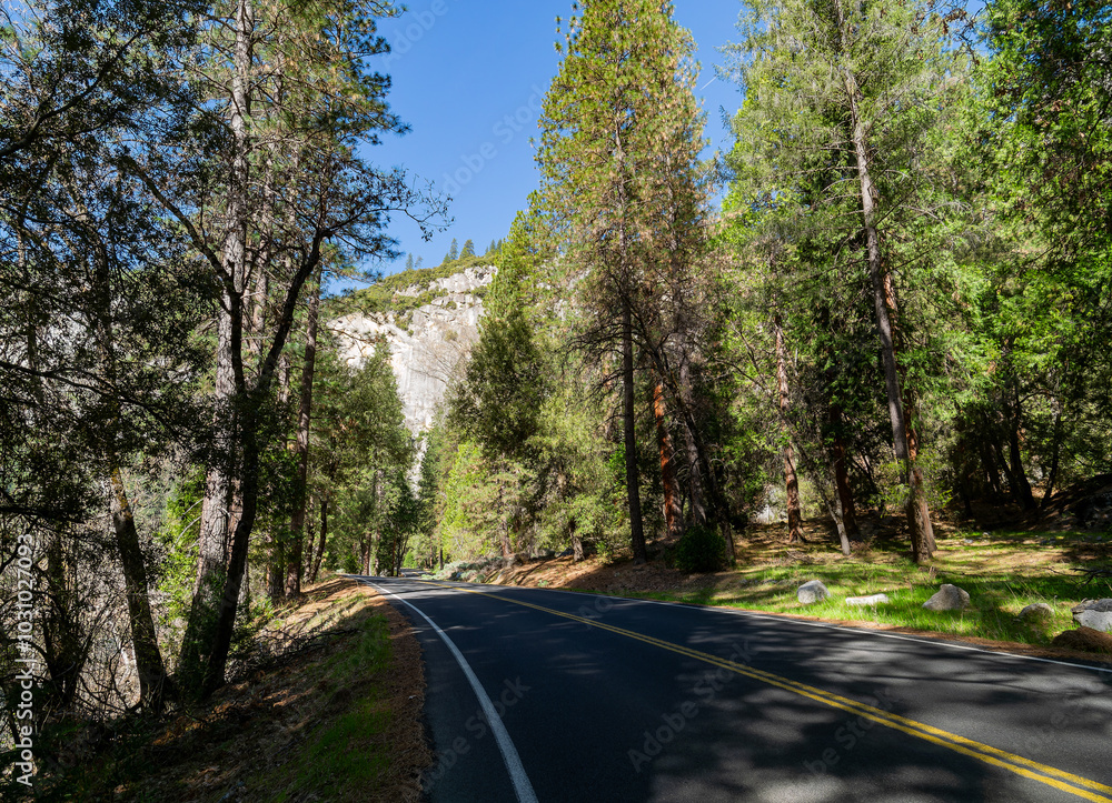 Sunny view of the landscape at Yosemite National Park Sunny view of the landscape at Yosemite National Park