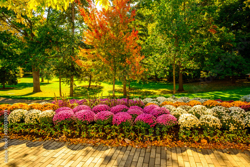 Photography colorful autumn park shot  kew gardens Toronto