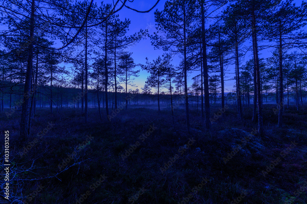 Autumn landscape from Finland with lake and trees Autumn landscape from Finland with lake and trees