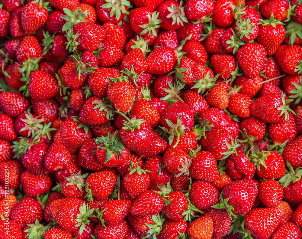 Strawberry Strawberry