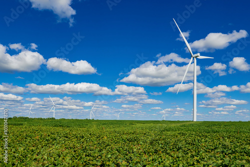 Wind turbines stand over a field of soybean plants in Missouri.