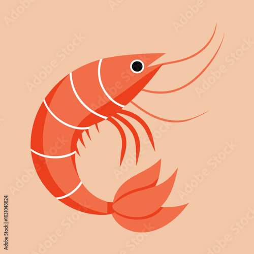 illustration of a shrimp