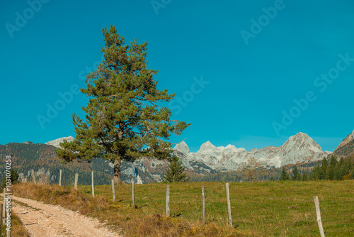 Beautiful panorama from Uskovnica plateau in autumn with brown yellow and green trees in front of a majestic alpine backdrop of julian alps. photo