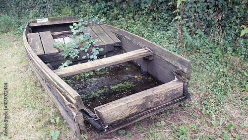 Overgrown small wooden boat