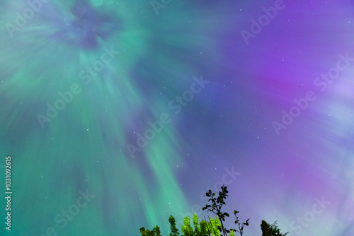 Colourful Aurora Borealis, Northern Lights with tree silhouettes on May 10th 2024 in the Comox Valley, British Columbia, Canada photo