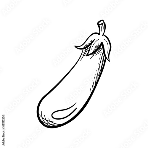 Eggplant Hand-Drawn Food Vector Icon