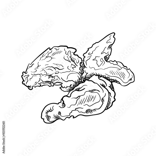 Fried Chicken Hand-Drawn Food Vector Icon