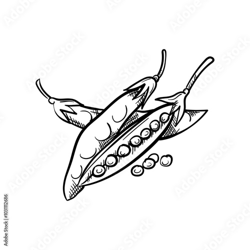 Peas Hand-Drawn Food Vector Icon