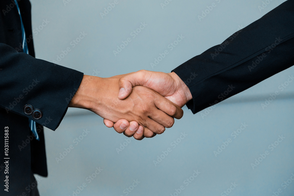 © InfiniteFlow - Business people agreement concept. Businessman do handshake with another businessman in the office meeting room. uds