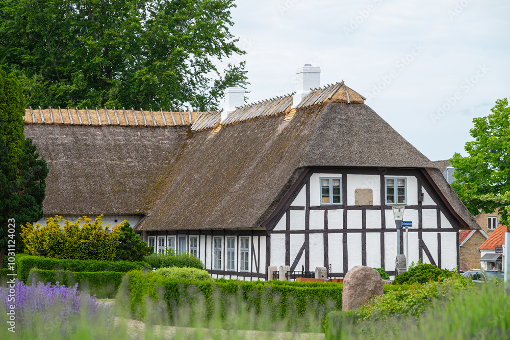 Fototapeta premium Buildings in town of Ringe on Fyn in Denmark