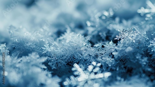 Close-up of snowflakes on a frosted surface