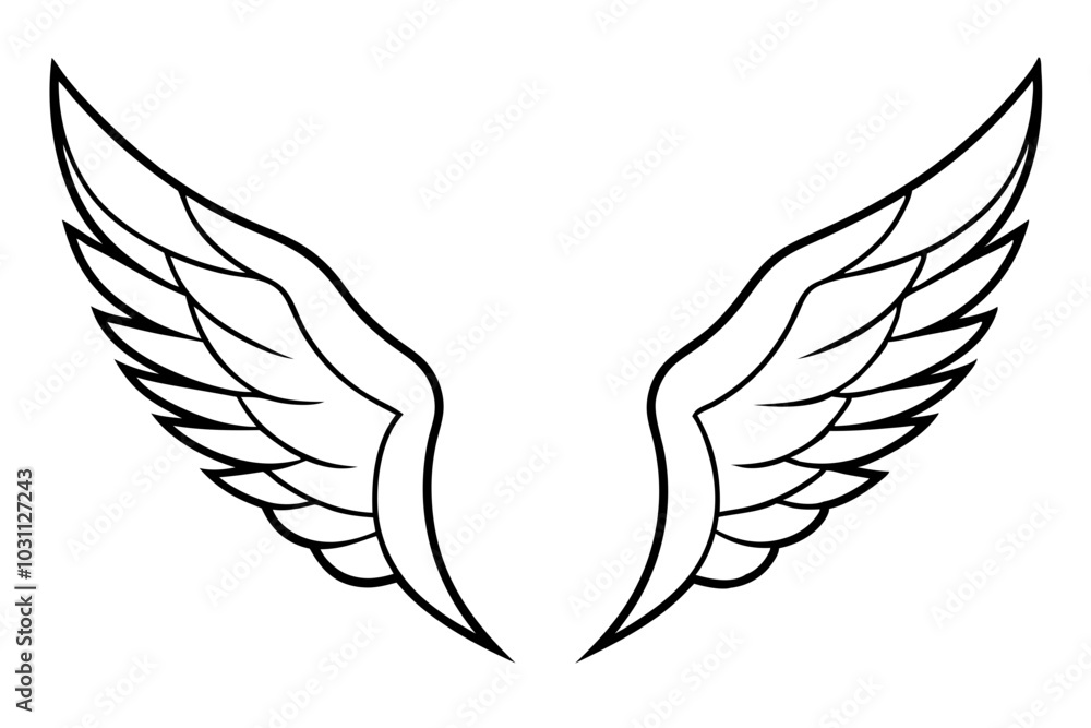 Obraz premium Eagle wings