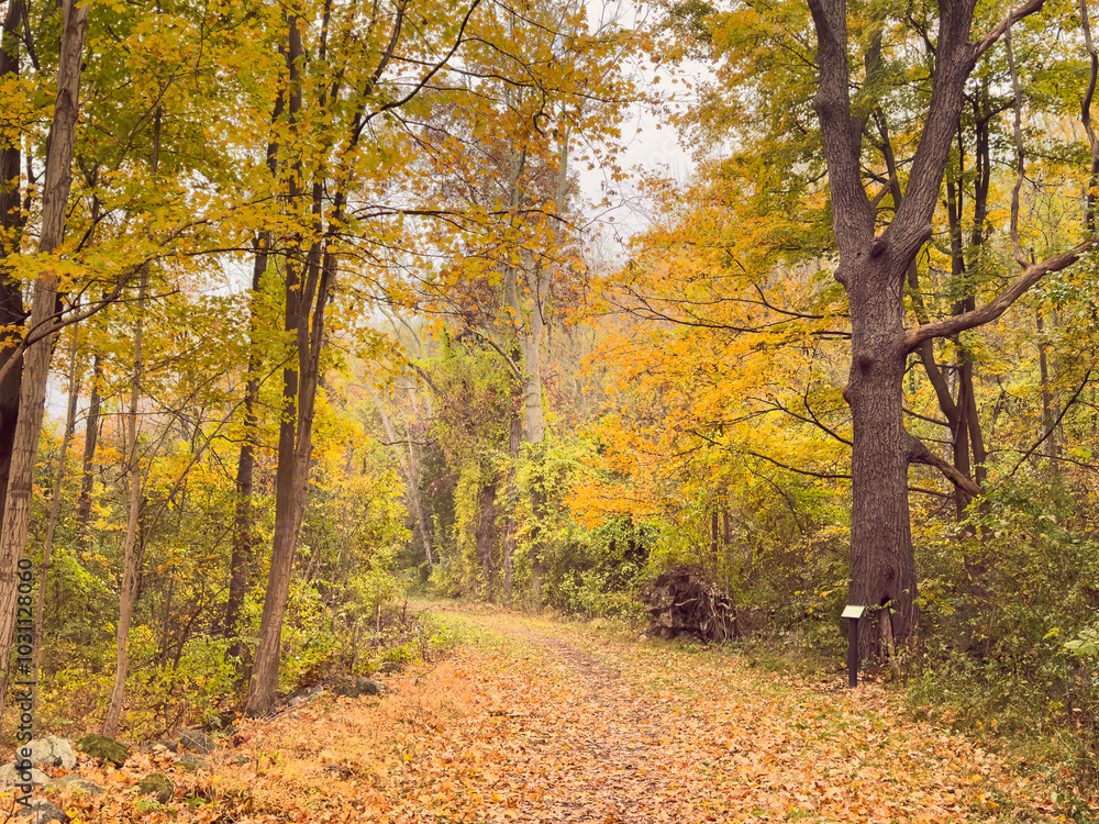 Autumn colors at Autumn colors at
