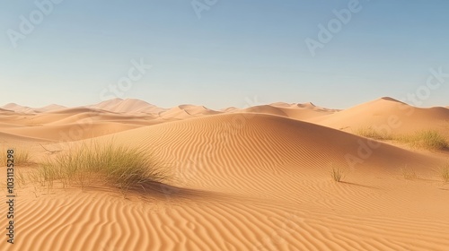 Sunlight On The Sand Dunes, Rippled Desert Landscape Of The Sahara With Rolling, Golden Sand Hills