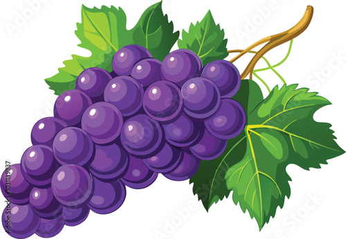Bunch of a grapes, vector illustration 