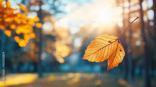 Autumn nature concept - blurred autumn landscape background with fallen leaves in the foreground, aged trees, blue sky, and sunshine.
