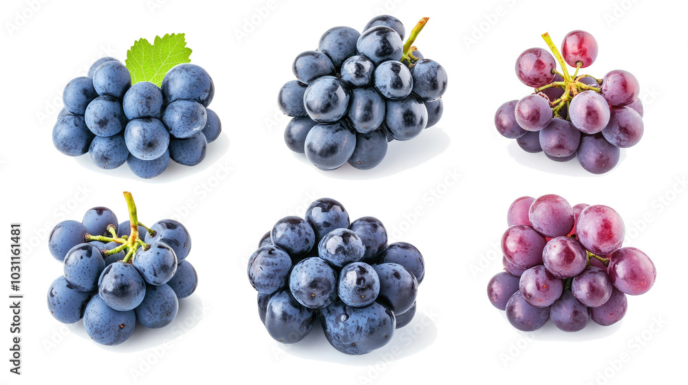 Assorted Grapes Collection on a Clean White Background Generative AI Assorted Grapes Collection on a Clean White Background Generative AI