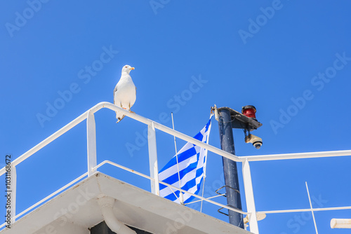 A seagull is perched on a railing next to a flag, travel and tourism in Greece background photo